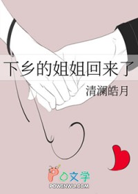 下乡的姐姐回来了